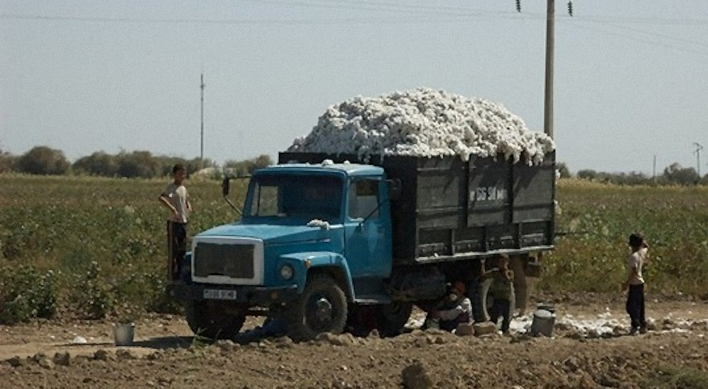 Baumwollernte im Oktober in Hanowuz, Turkmenistan